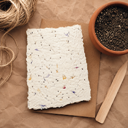 Grown. Seed Paper Kit